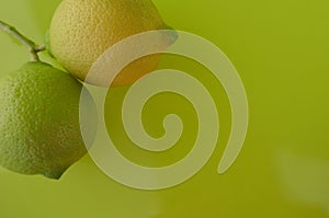Two lemons on green background