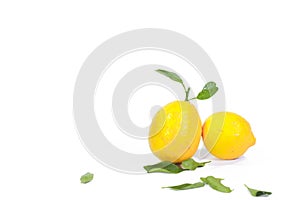 Two Lemons with Leaves on a White Background
