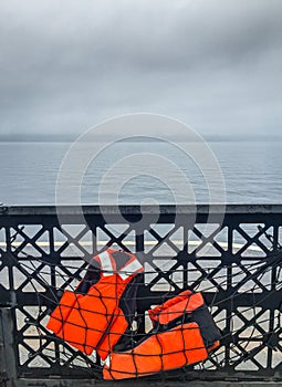 Two life vests stowed in safety netting on car ferry.