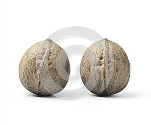 Two Light Brown Nutshells on White Background