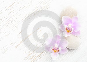 Two light pink orchids and stones on wooden shabby background