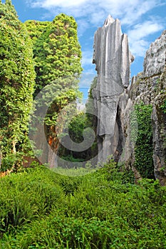 Two limestones at Kunming Stone forest, Shilin