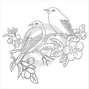 two litle birds and flower coloring page