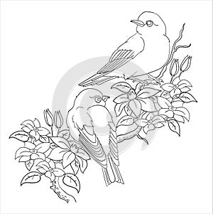 two litle birds and flower coloring page