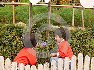 Two little Asian baby girls, sisters, enjoys talking and observing small purple flowers together
