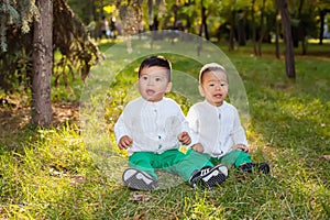 Two little Asian child playing in the Park, sitting on the grass