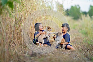 Two little Asian girls enjoy and fun to play with baby dogs and they sit near rice field with soft light of evening