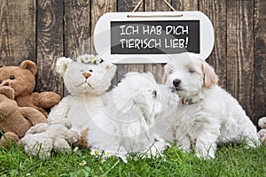 Two little baby dogs kissing: funny greeting card for wedding or
