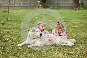 The two little baby girls playing with dog against green grass