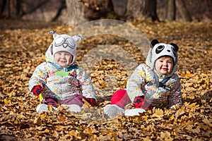 The two little baby girls sitting in autumn leaves