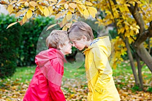 Two little best friends and kids boys autumn park in colorful clothes.