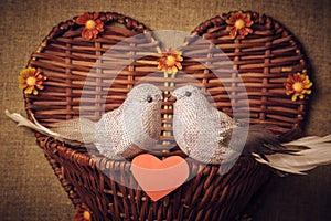 Two little bird the lovers, heart