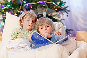 Two little blond sibling boys reading a book on Christmas