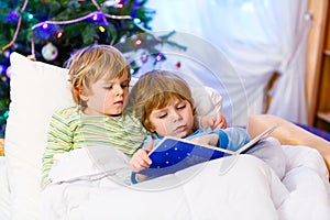 Two little blond sibling boys reading a book on Christmas