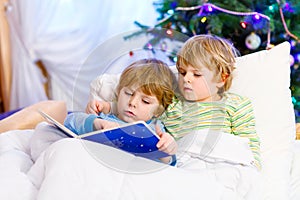 Two little blond sibling boys reading a book on Christmas