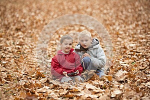 Two little boys in autumn park