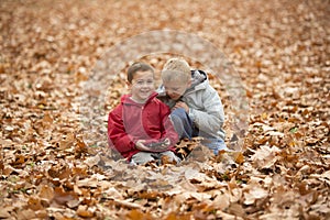 Two little boys in autumn park