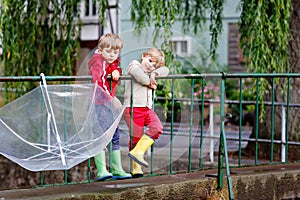 Two little boys, best friends and siblings walking with big umbrella outdoors on rainy day. Preschool children having