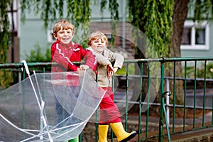 Two little boys, best friends and siblings walking with big umbrella outdoors on rainy day. Preschool children having