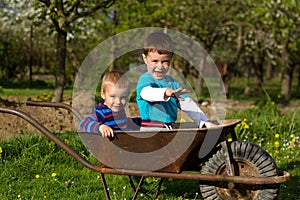 Two little boys in the garden.