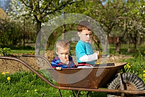 Two little boys in the garden.