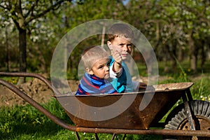 Two little boys in the garden.