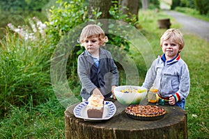 Two little boys picnicking in forest near lake in summer