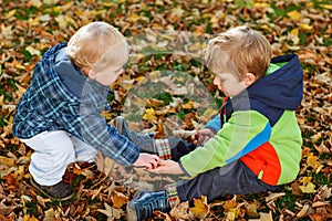 two little boys playing with maple leaves outdoors. Happy children siblings in autumn park. Toddlers twins wears trendy