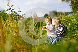 Two little brother boys playing near forest lake on summer evening. Cute siblings playing together.