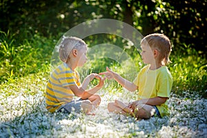 Two little brothers play in rock-paper-scissors sitting on grass