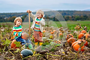Two Little Children Enjoying Harvest Festival Celebration at Pumpkin Patch. Kids Preschool Boys Picking and Carving