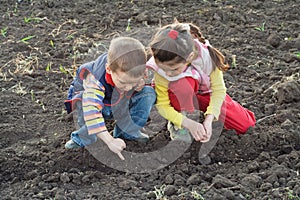 Two little children planting seeds in the field