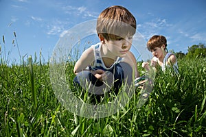 Two Little Curious Boys Exploring The Beauty Of Nature On Green Field At Spring Time