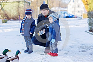 Two little cute funny twin boys and their dad feeding ducks