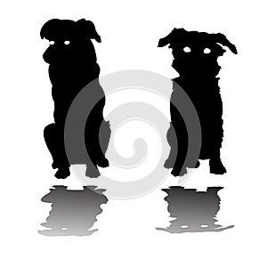 Two little dogs silhouettes