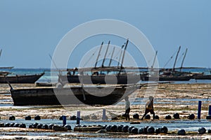 Two little fishermen walking beside moored boats on a Sri Lankan beach during low tide