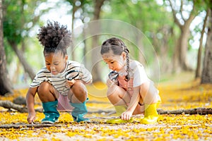 Two little girl exploring in the woods and looking for insects, Child playing in the forest with magnifying glass. Curious kids