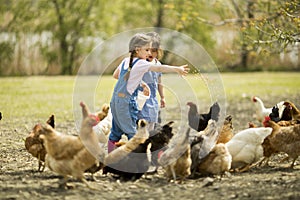Two little girl feeding chickens photo