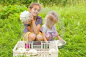 Two little girl sisters holding fresh squashes in their hands near a bowl with harvesting squashes and smiling