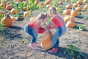 Two little girls carrying pumpkin at field patch