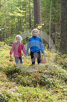 Two little girls carrying wicker baskets for gathering mushrooms and berries hiking in forest in fall season