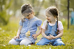 Two little girls with chickens