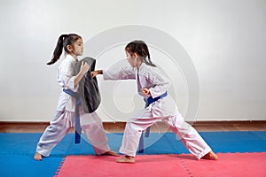 Two little girls demonstrate martial arts working together
