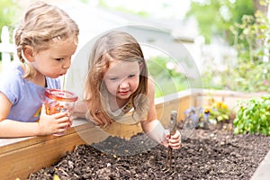 Two little girls digging in a garden bed