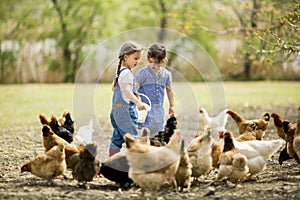 Two little girls feeding chickens