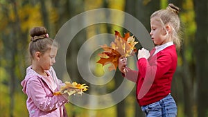 Two little girls are gathering a bouquet of autumn leaves