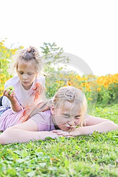 Two little girls playing on green grass in sunny summer day in countryside