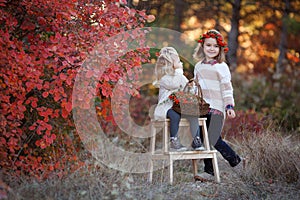 Two little girls walk outdoors in the Park during the Golden autumn