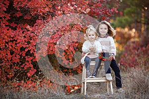 Two little girls walk outdoors in the Park during the Golden autumn