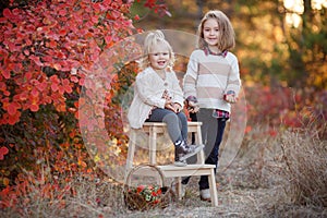 Two little girls walk outdoors in the Park during the Golden autumn